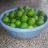 lemon fertilizer