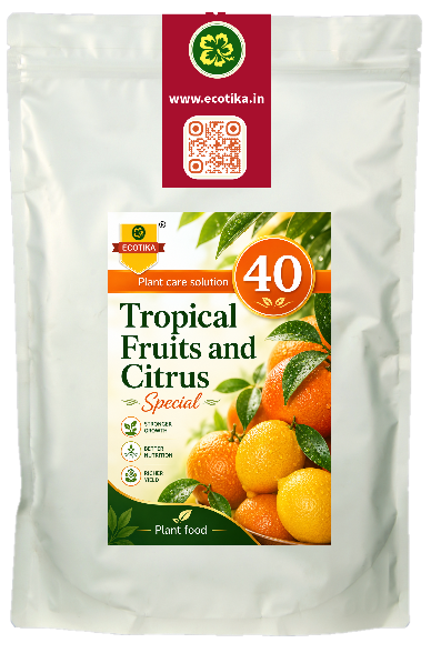 tropical fruits and citrus1