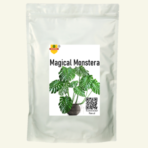 fertilizer for monstera