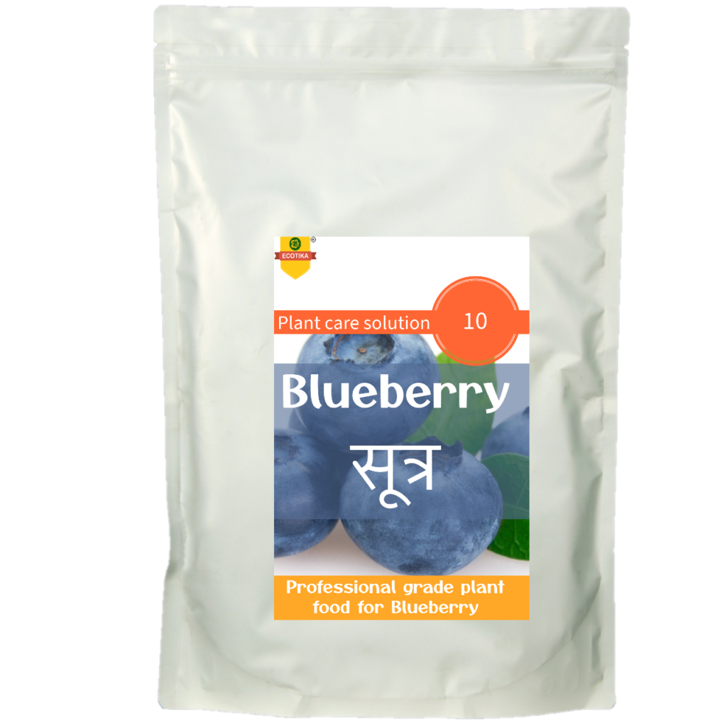 blueberry sutra