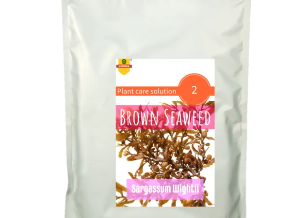 Ecotika's 100% natural seaweed