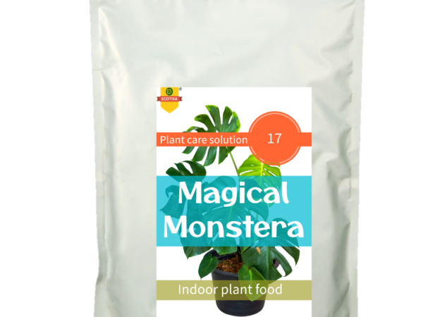 fertilizer for monstera delicious