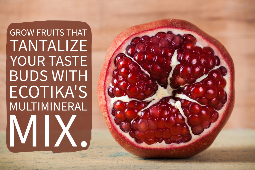 Multimineral mix improves the taste and shelf life of fruits